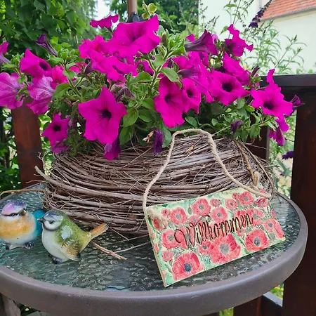 Gaestewohnung My Secret Garden 2 - Keine Monteure * Dennheritz