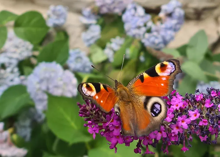 Gaestewohnung My Secret Garden 2 - Keine Monteure アパート *