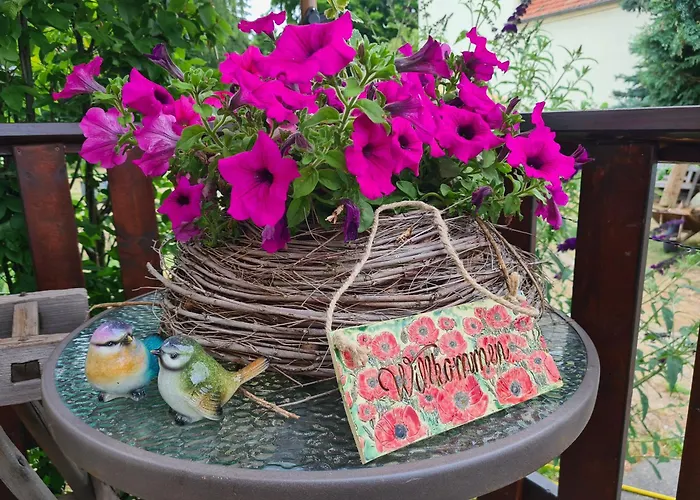 Gaestewohnung My Secret Garden 2 - Keine Monteure * Dennheritz